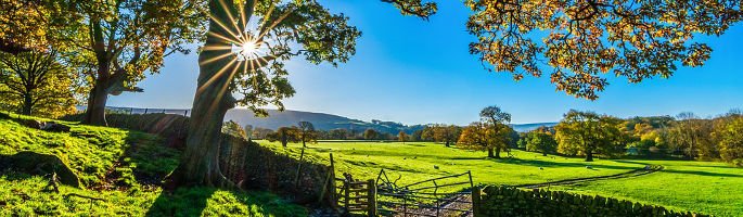 York horse riding lessons and hacking